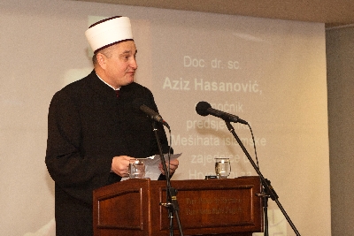 20120209-aziz_hasanovic.jpg